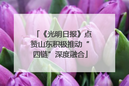 《光明日报》点赞山东积极推动“四链”深度融合