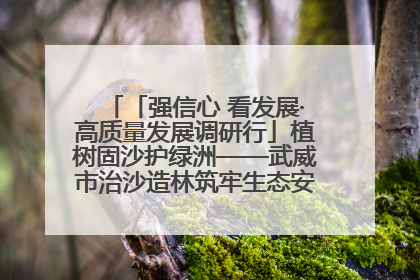 「强信心 看发展·高质量发展调研行」植树固沙护绿洲——武威市治沙造林筑牢生态安全屏障见闻