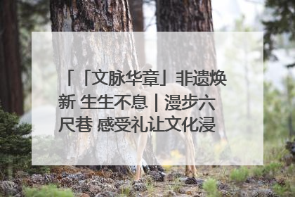 「文脉华章」非遗焕新 生生不息｜漫步六尺巷 感受礼让文化浸润的“巷”往生活