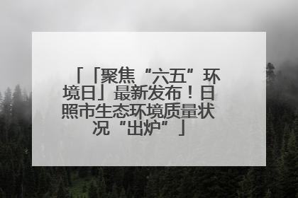 「聚焦“六五”环境日」最新发布！日照市生态环境质量状况“出炉”