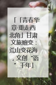 「青春华章·重走西北角」甘肃文旅嬗变：荒山变花海，文创“语”千年