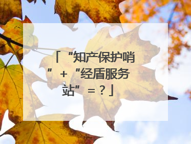 “知产保护哨”+“经盾服务站”=？