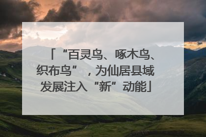 “百灵鸟、啄木鸟、织布鸟”，为仙居县域发展注入“新”动能