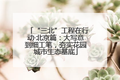 “三北”工程在行动·北京篇：大写意到细工笔，夯实花园城市生态基底