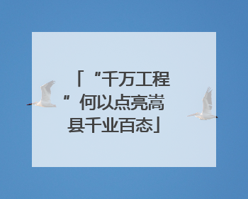 “千万工程”何以点亮嵩县千业百态