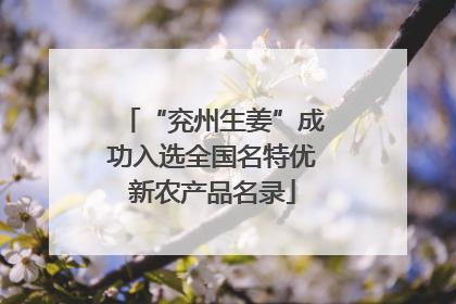 “兖州生姜”成功入选全国名特优新农产品名录