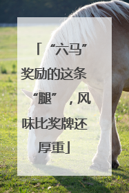“六马”奖励的这条“腿”，风味比奖牌还厚重
