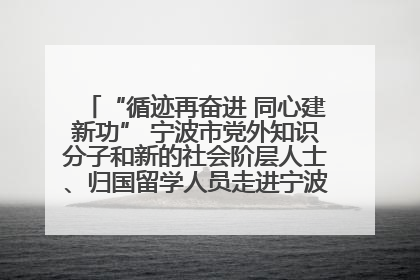 “循迹再奋进 同心建新功” 宁波市党外知识分子和新的社会阶层人士、归国留学人员走进宁波舟山港穿山港区