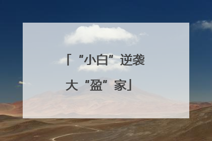 “小白”逆袭大“盈”家