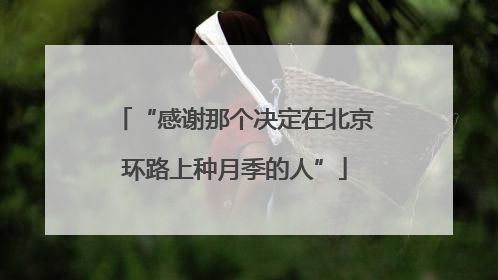 “感谢那个决定在北京环路上种月季的人”