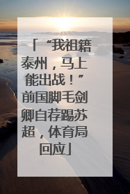 “我祖籍泰州，马上能出战！”前国脚毛剑卿自荐踢苏超，体育局回应