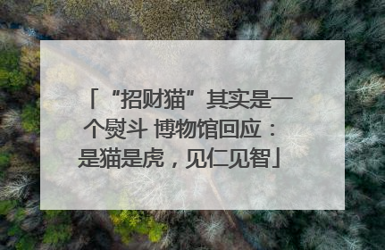 “招财猫”其实是一个熨斗 博物馆回应：是猫是虎，见仁见智