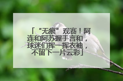 “无痕”观赛！阿连和阿苏握手言和，球迷们挥一挥衣袖，不留下一片云彩