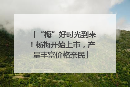 “梅”好时光到来！杨梅开始上市，产量丰富价格亲民