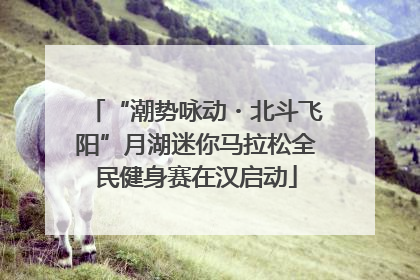“潮势咏动・北斗飞阳”月湖迷你马拉松全民健身赛在汉启动