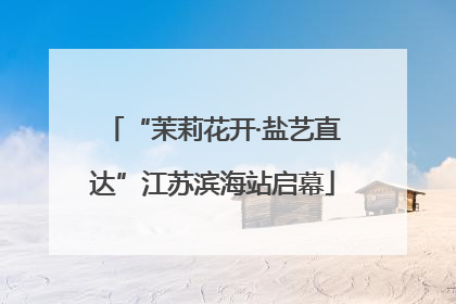 “茉莉花开·盐艺直达”江苏滨海站启幕
