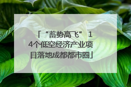 “蓄势高飞” 14个低空经济产业项目落地成都都市圈