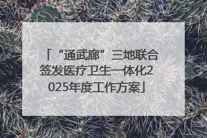 “通武廊”三地联合签发医疗卫生一体化2025年度工作方案