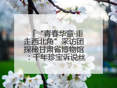 “青春华章·重走西北角”采访团探秘甘肃省博物馆：千年珍宝诉说丝路辉煌