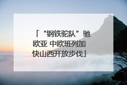 “钢铁驼队”驰欧亚 中欧班列加快山西开放步伐