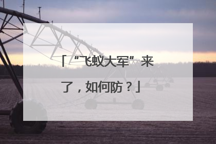 “飞蚁大军”来了，如何防？