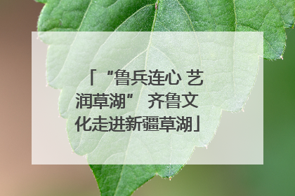 “鲁兵连心 艺润草湖” 齐鲁文化走进新疆草湖