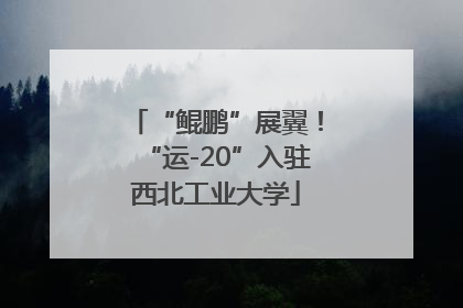 “鲲鹏”展翼！“运-20”入驻西北工业大学