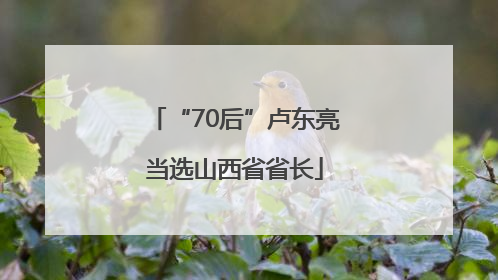 “70后”卢东亮当选山西省省长