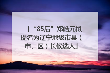 “85后”郑皓元拟提名为辽宁地级市县（市、区）长候选人