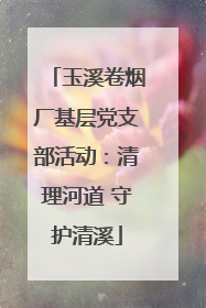 玉溪卷烟厂基层党支部活动：清理河道 守护清溪