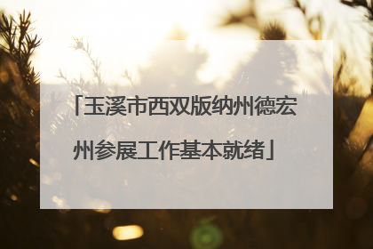 玉溪市西双版纳州德宏州参展工作基本就绪