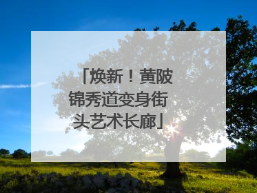 焕新！黄陂锦秀道变身街头艺术长廊