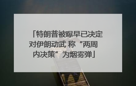 特朗普被曝早已决定对伊朗动武 称“两周内决策”为烟雾弹