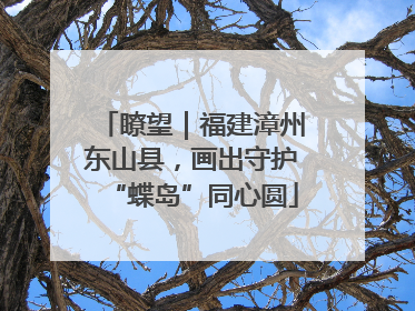 瞭望｜福建漳州东山县，画出守护“蝶岛”同心圆