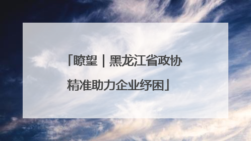 瞭望｜黑龙江省政协精准助力企业纾困