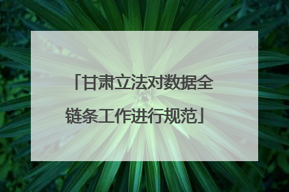 甘肃立法对数据全链条工作进行规范