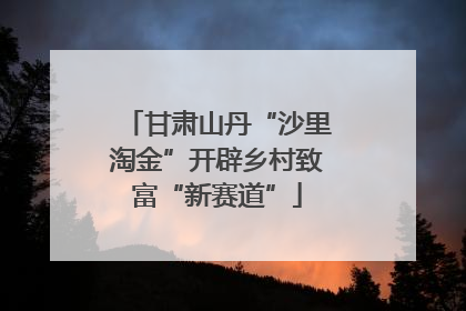 甘肃山丹“沙里淘金”开辟乡村致富“新赛道”