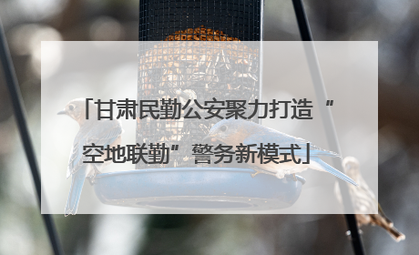 甘肃民勤公安聚力打造“空地联勤”警务新模式