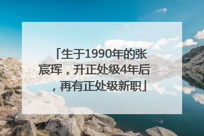生于1990年的张宸珲，升正处级4年后，再有正处级新职