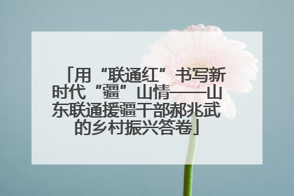 用“联通红”书写新时代“疆”山情——山东联通援疆干部郝兆武的乡村振兴答卷