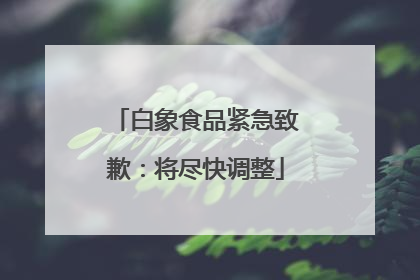 白象食品紧急致歉：将尽快调整