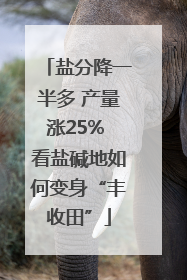 盐分降一半多 产量涨25% 看盐碱地如何变身“丰收田”