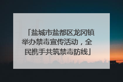 盐城市盐都区龙冈镇举办禁毒宣传活动，全民携手共筑禁毒防线