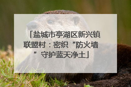 盐城市亭湖区新兴镇联盟村：密织“防火墙”守护蓝天净土