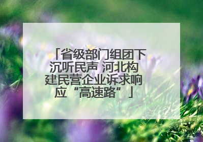 省级部门组团下沉听民声 河北构建民营企业诉求响应“高速路”