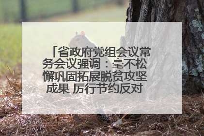 省政府党组会议常务会议强调：毫不松懈巩固拓展脱贫攻坚成果 厉行节约反对浪费弘扬优良作风