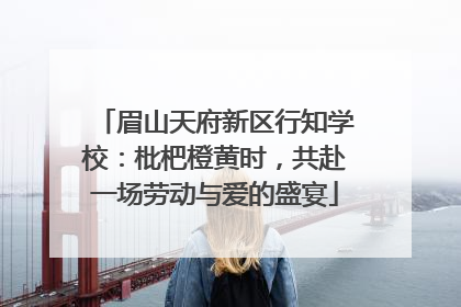 眉山天府新区行知学校：枇杷橙黄时，共赴一场劳动与爱的盛宴