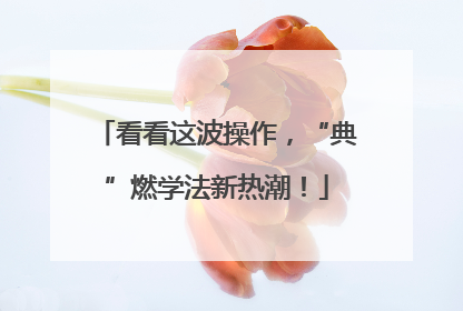 看看这波操作，“典”燃学法新热潮！