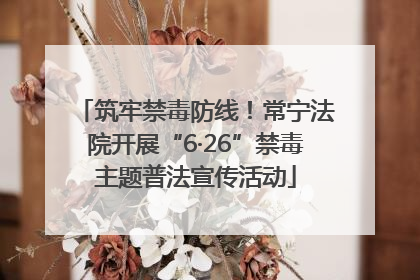 筑牢禁毒防线！常宁法院开展“6·26”禁毒主题普法宣传活动
