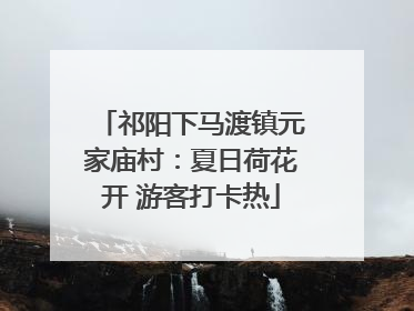 祁阳下马渡镇元家庙村：夏日荷花开 游客打卡热